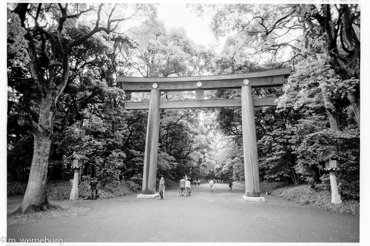 meiji shrine's entrance gate
