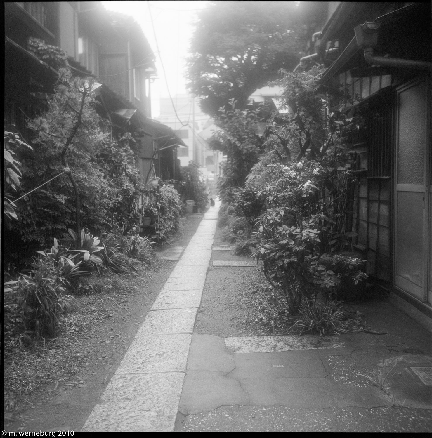 old Shinagawa houses