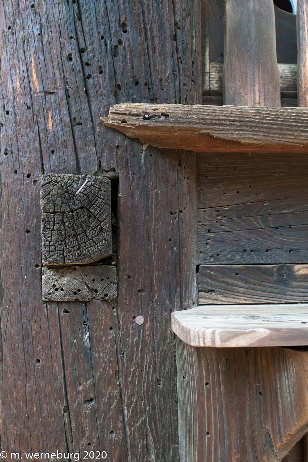 nails and termites make holes in old wood