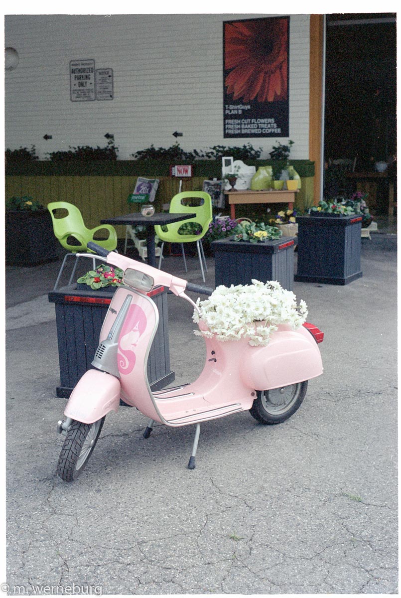 pink scooter with a seat of flowers