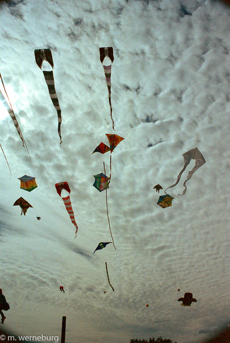 kite festival, beaches (toronto)