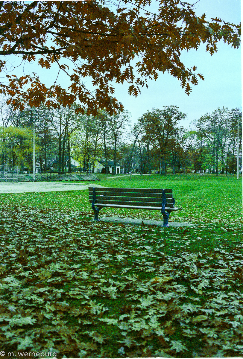 gloomy park in the autumn