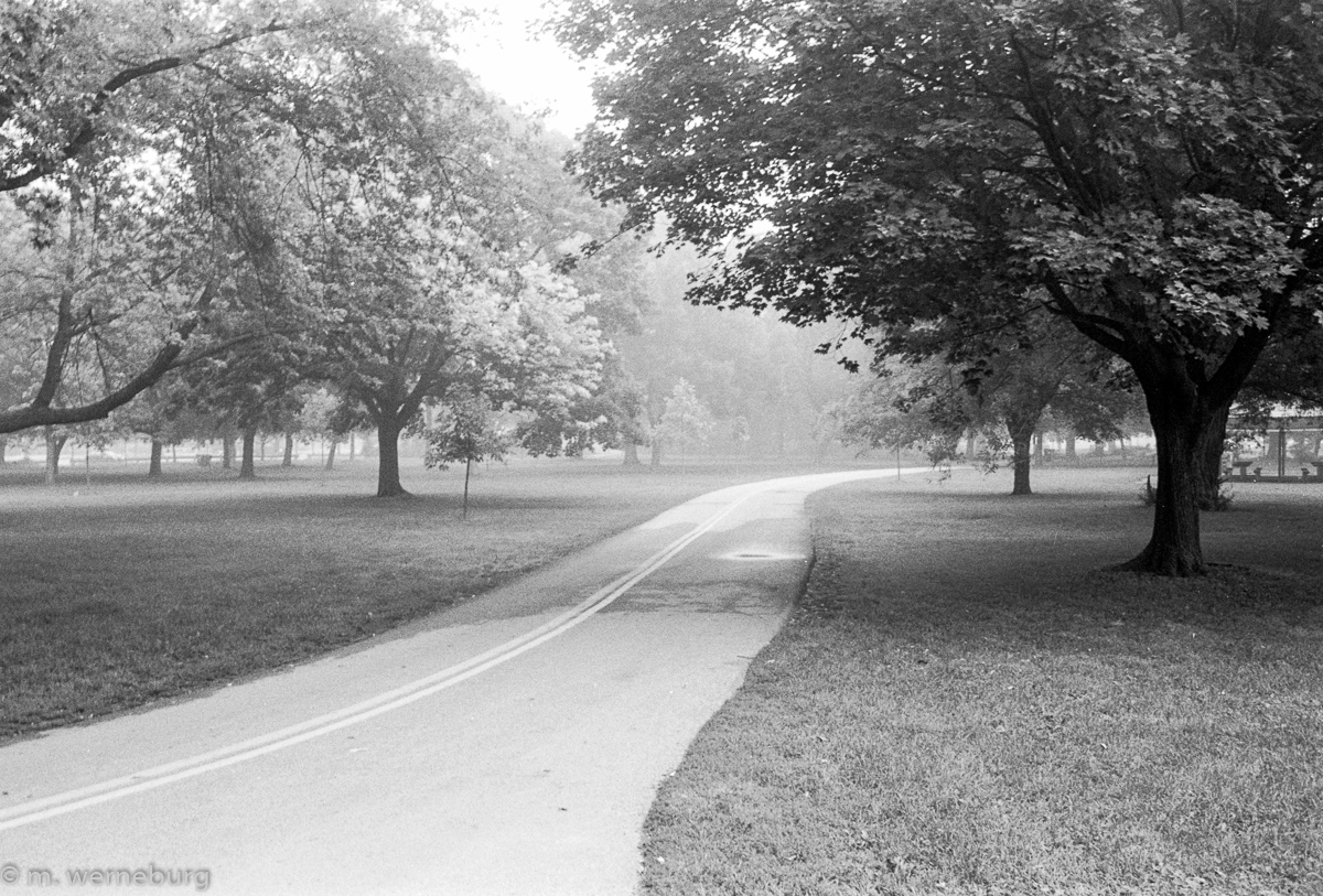 toronto cycle trail on a misty august morning