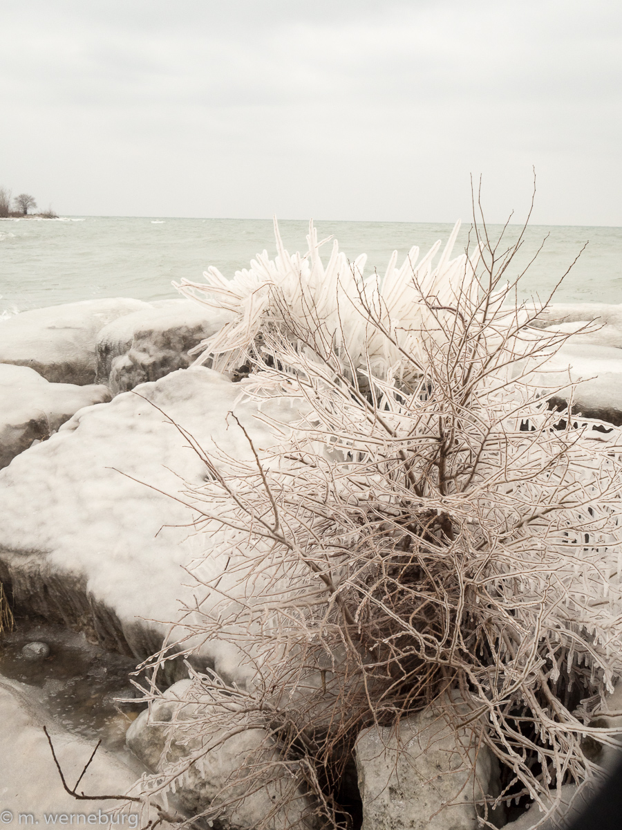 icy shoreline, frozen spray