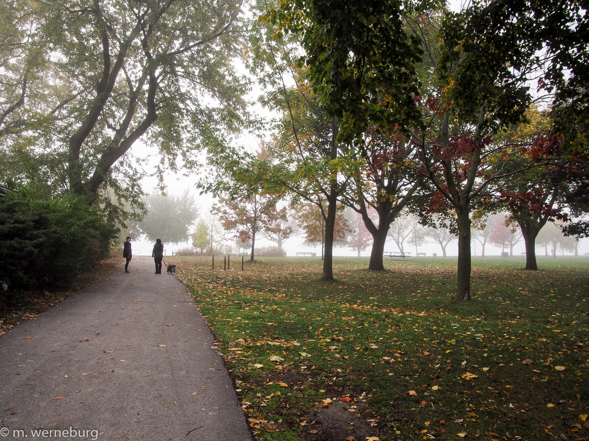 chatting on a misty morning on Toronto's waterfront
