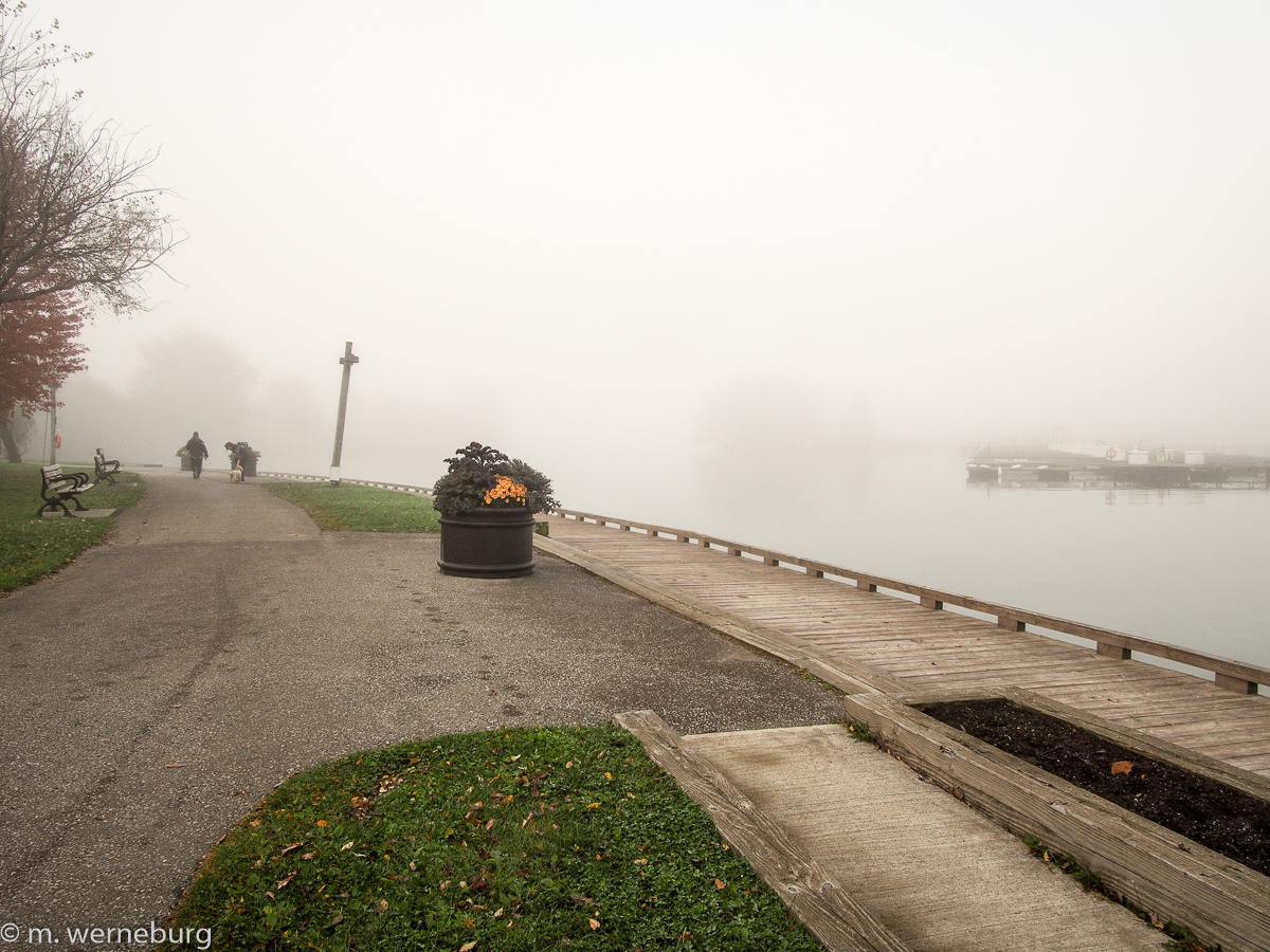 people strolling on a misty morning, toronto