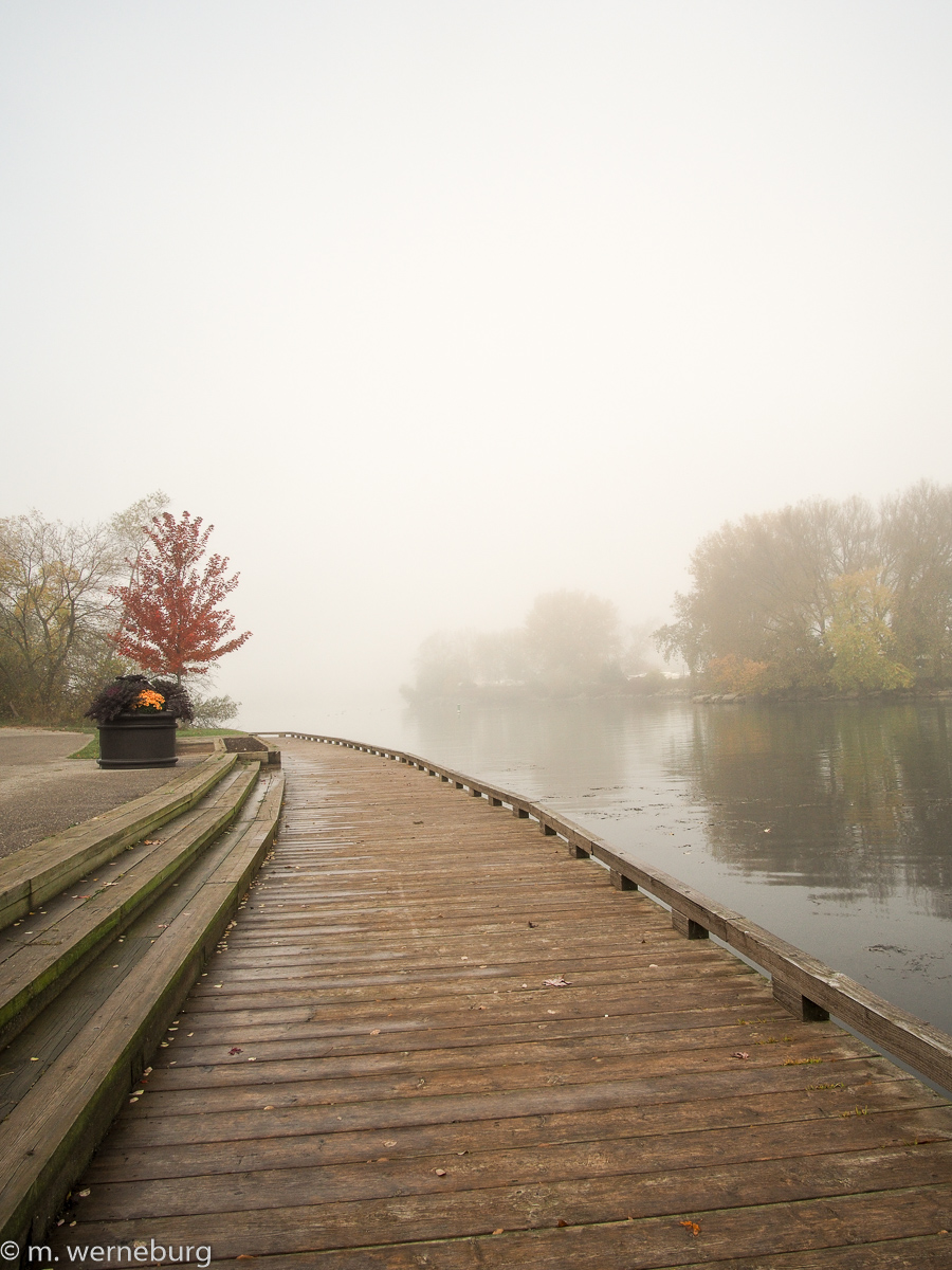 misty morning on Toronto's waterfront