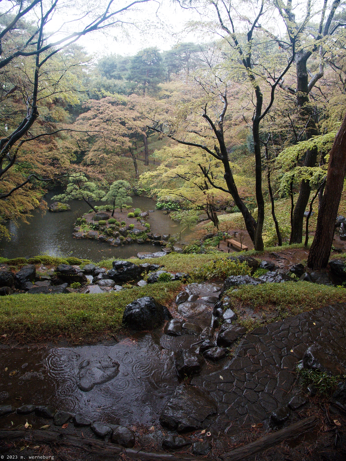 Japanese garden on a rainy day