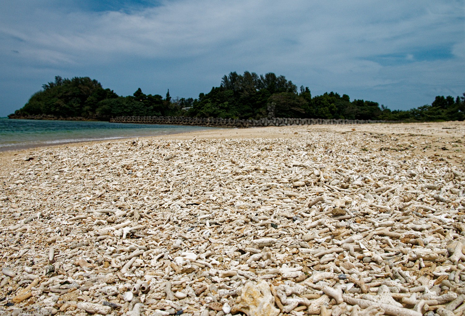 a beach made of coral fragments