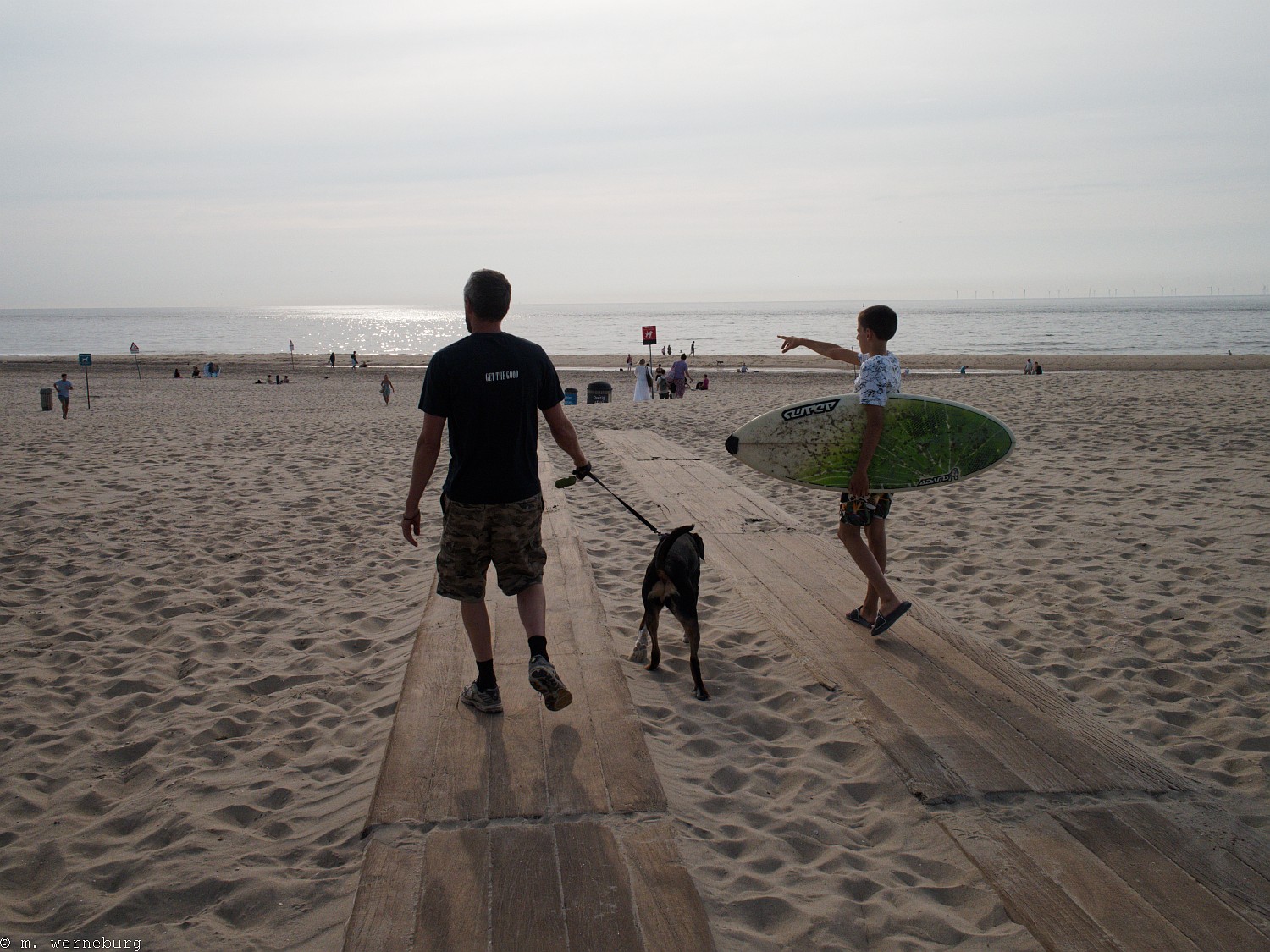 surfing in The Hague