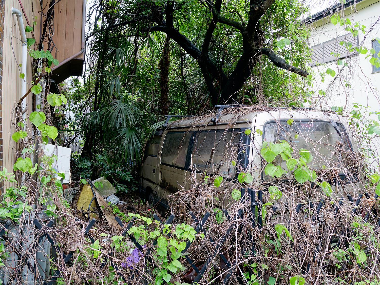 abandoned van reclaimed by nature