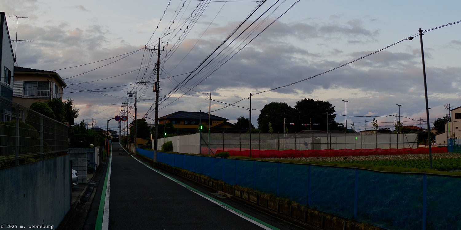 green lights in an evening landscape