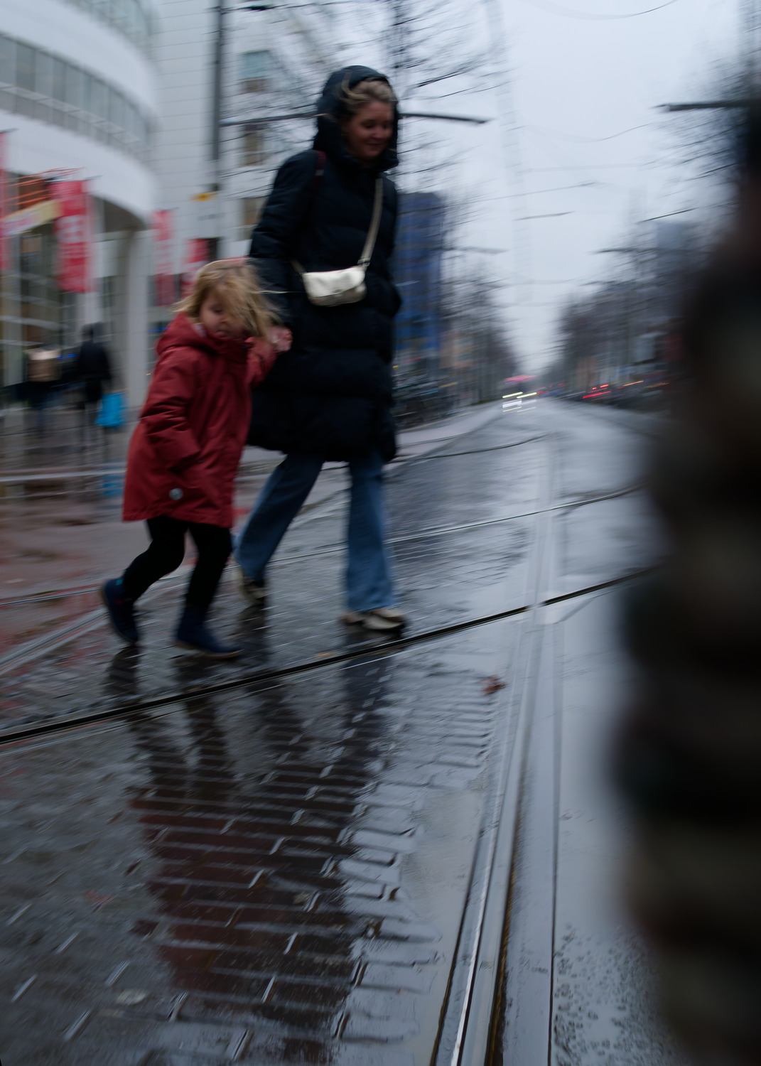 crossing tracks on a blustery day
