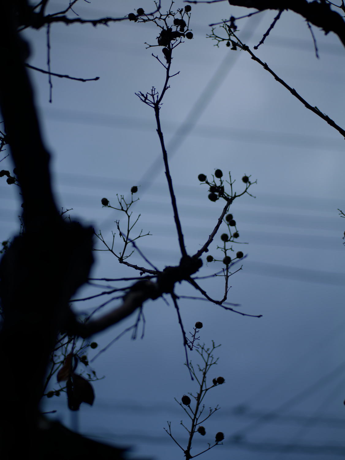 that time of the year