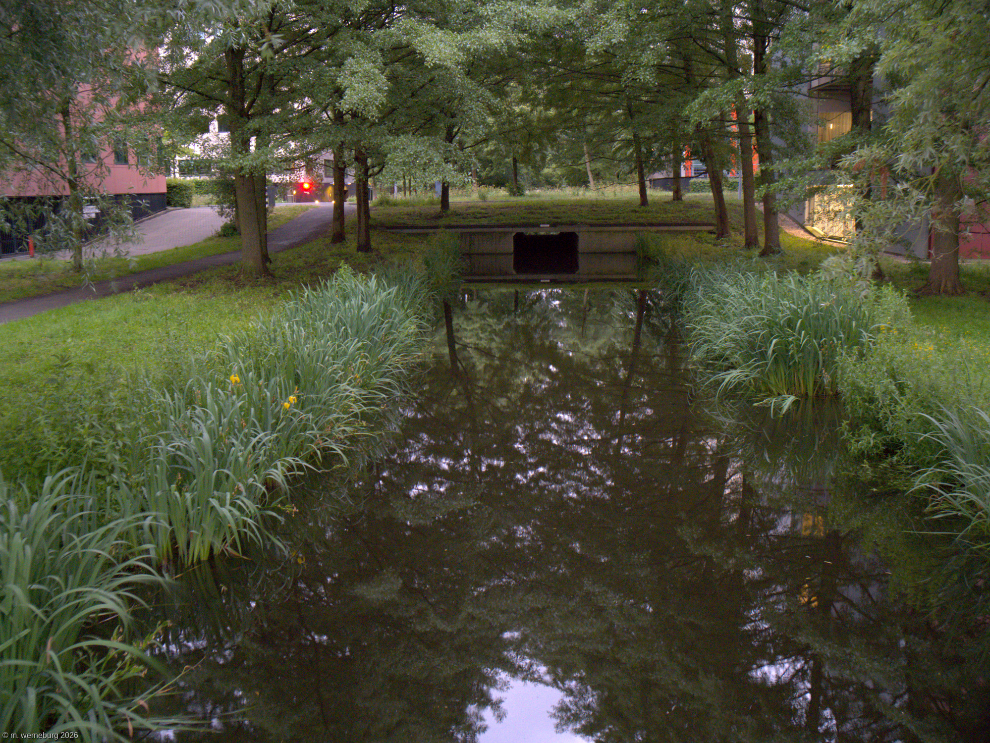 channel in the Hague