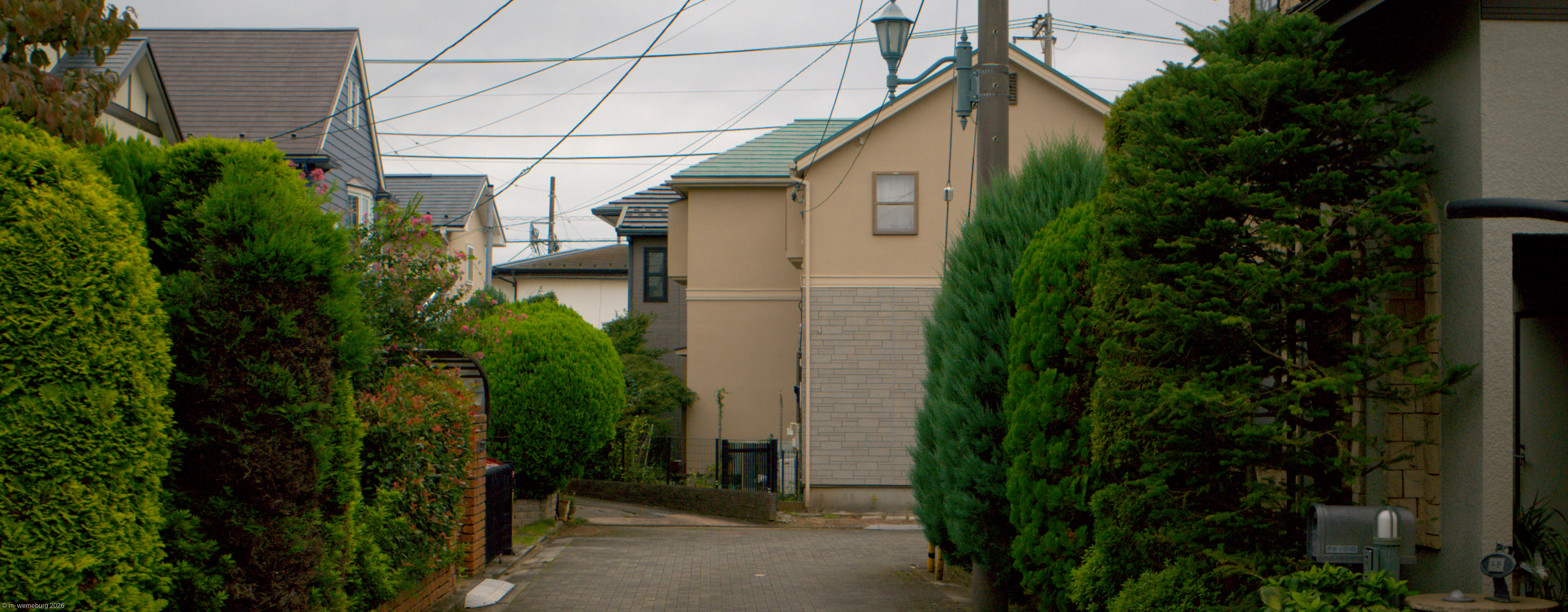 leafy suburb