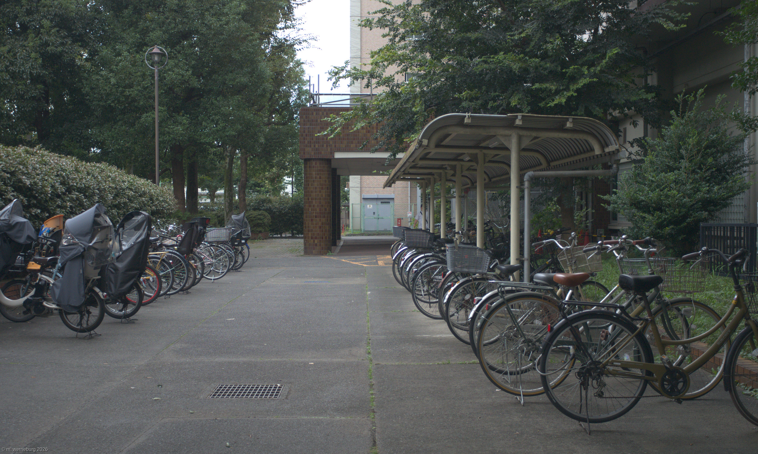 orderly bike parking